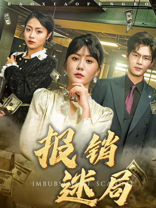 报销迷局封面