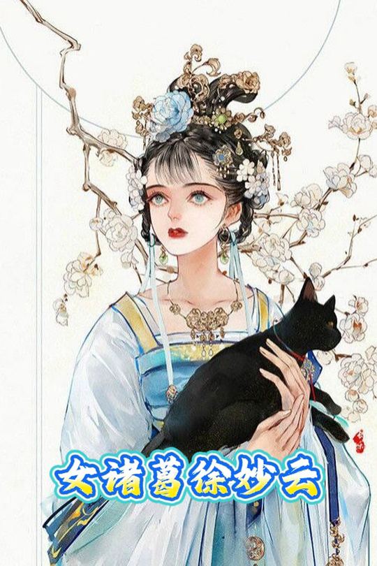 女诸葛徐妙云封面