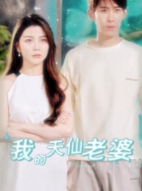 我的天仙老婆封面