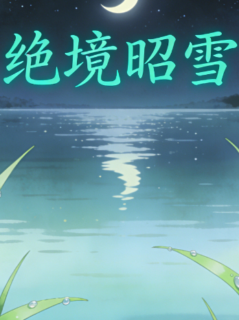 绝境昭雪封面