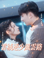 云城逆少风云路封面