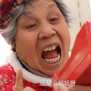 百变老太封面