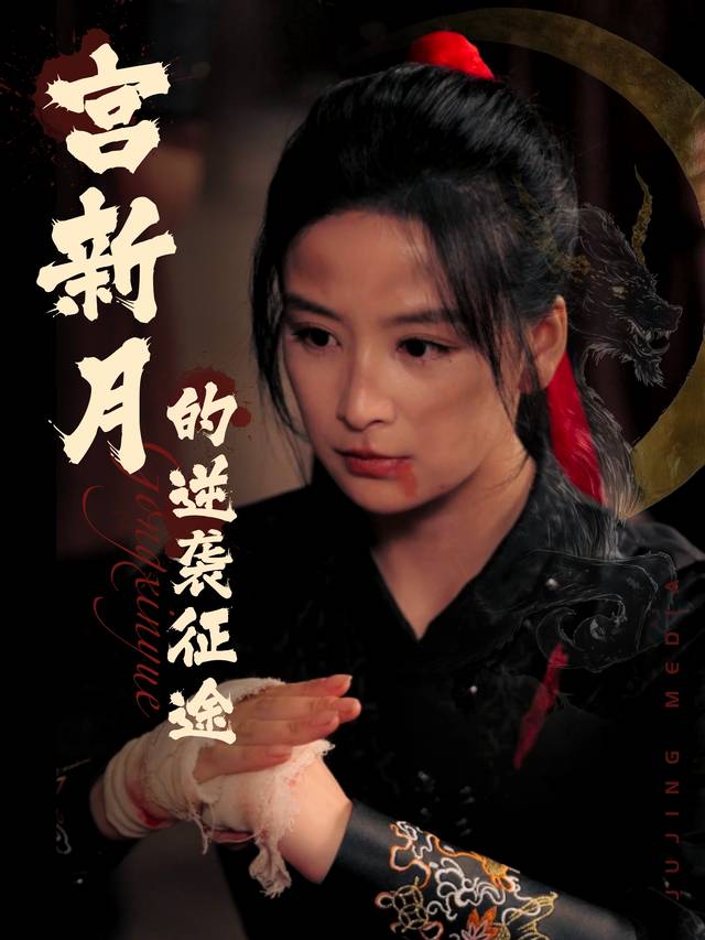 宫新月的逆袭征途封面