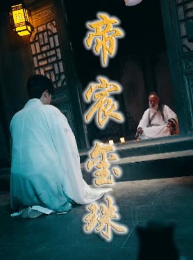 帝宸玺珠封面