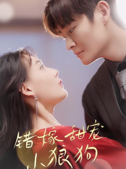 错嫁甜宠小狼狗封面
