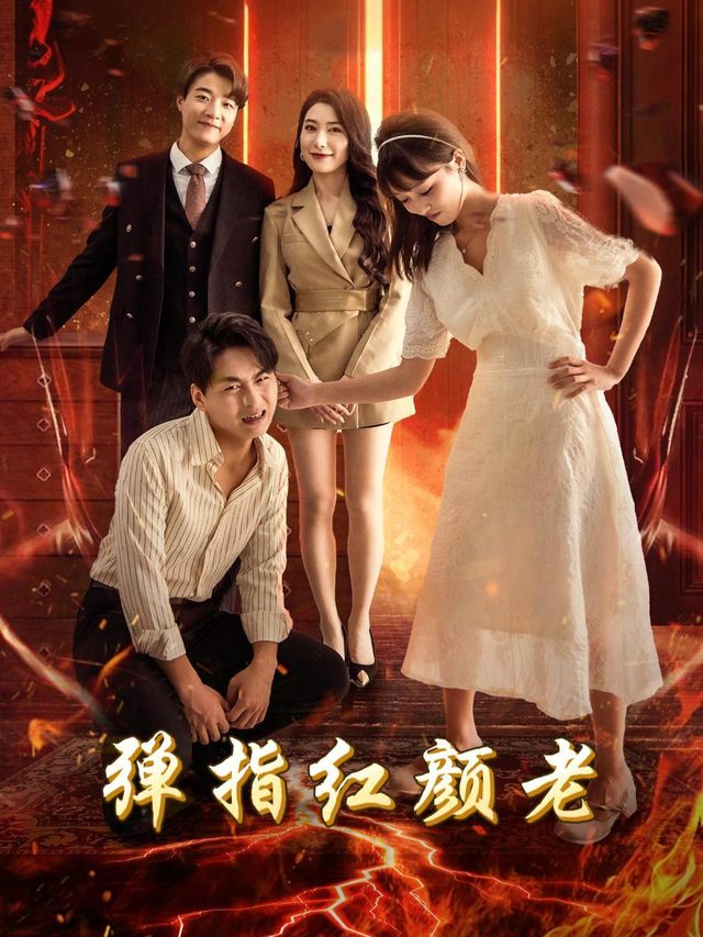 弹指红颜老封面