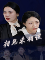 相见未相识封面