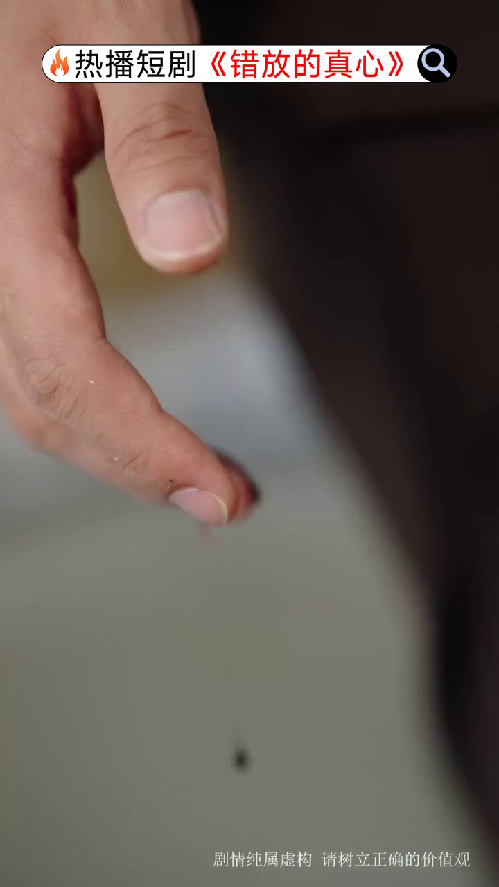 错放的真心封面