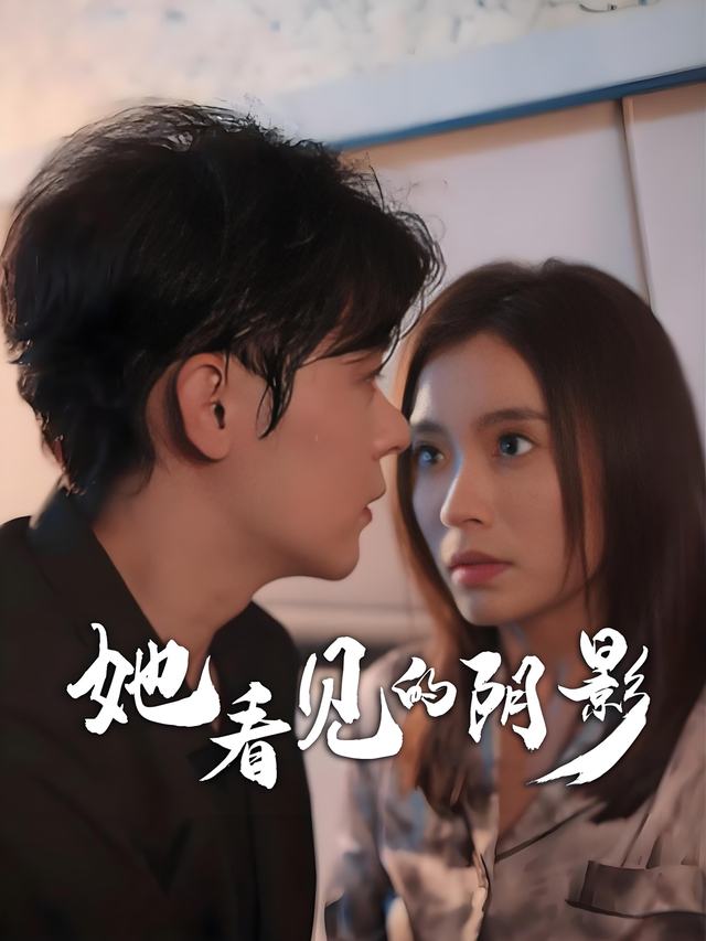 她看见的阴影封面