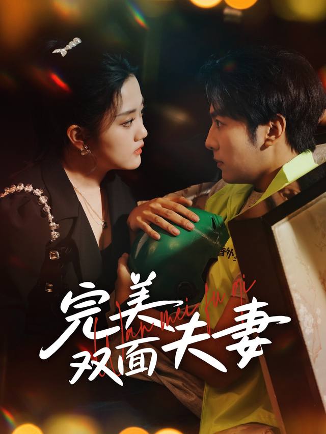 完美双面夫妻封面
