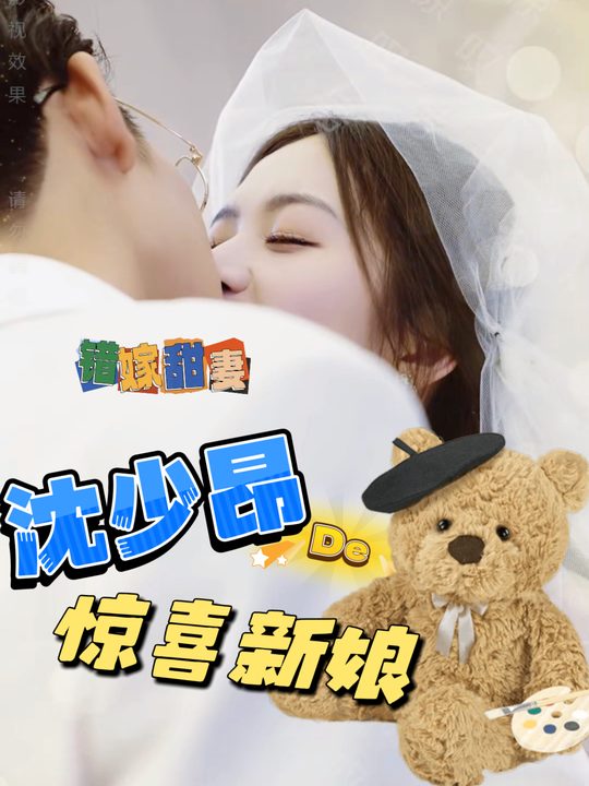 错嫁甜妻:沈少昂的惊喜新娘封面