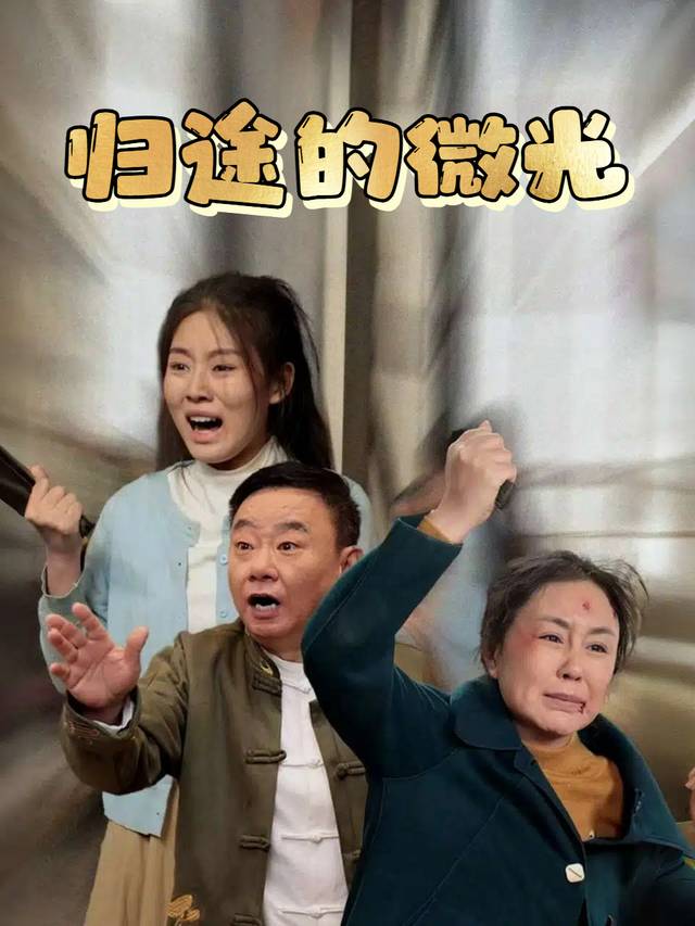 归途的微光封面