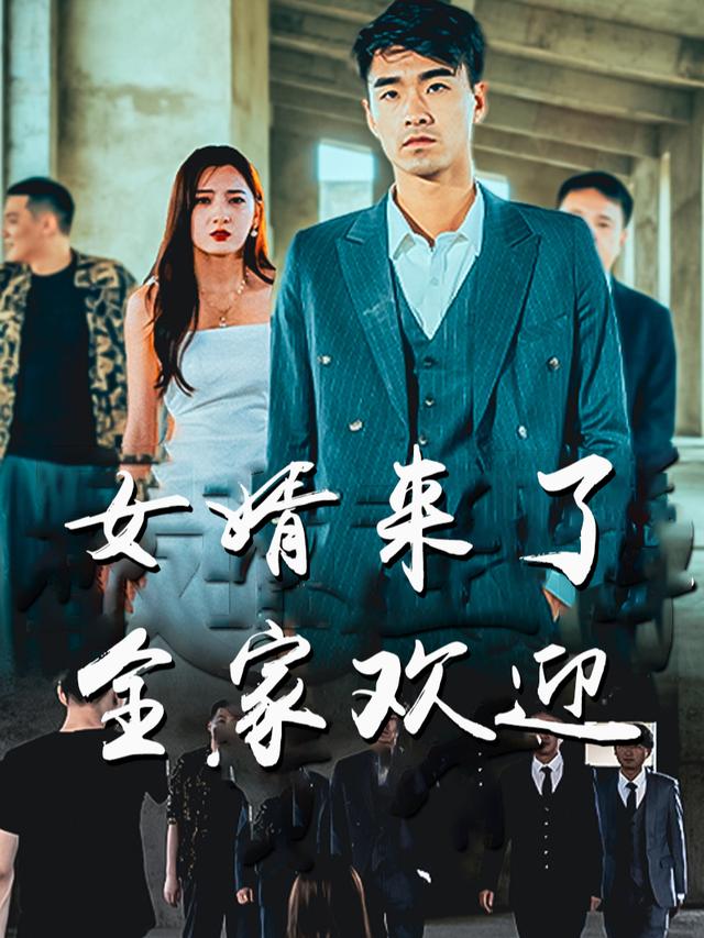 女婿来了全家欢迎封面