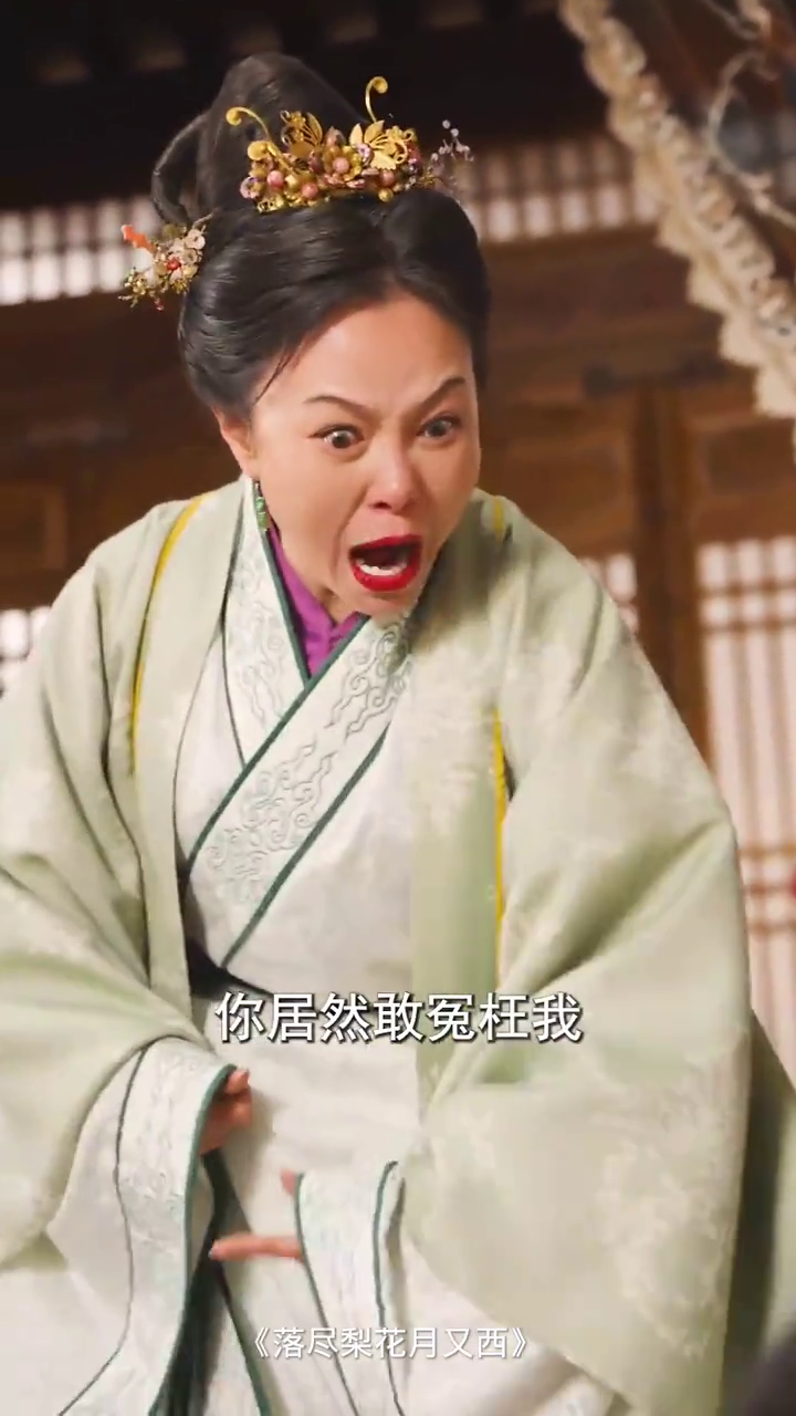 落尽梨花月渐西封面