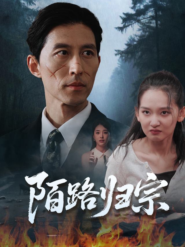 陌路归宗封面