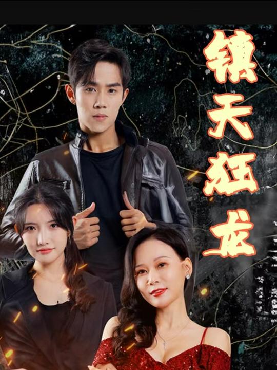 镇天狂龙封面