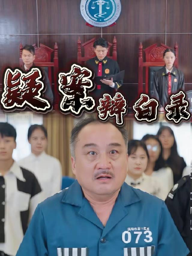 疑案辩白录封面