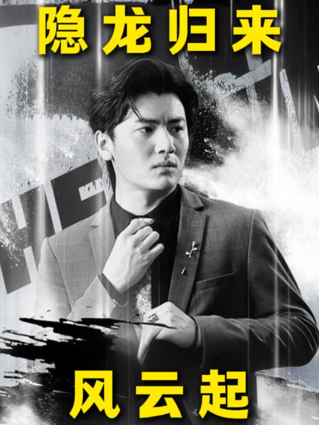 隐龙归来:风云起封面