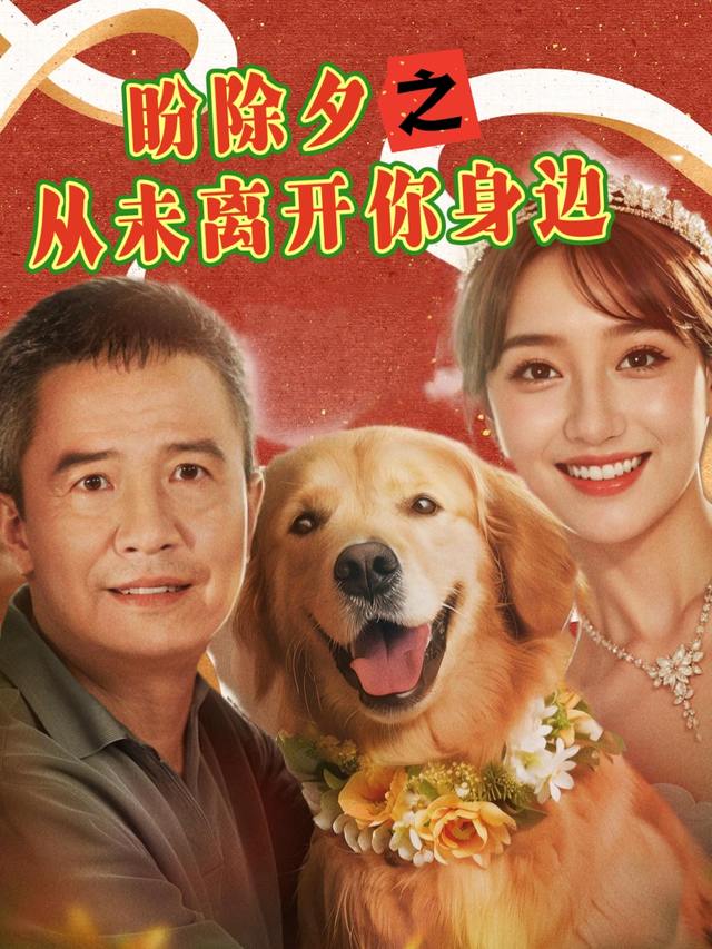 盼除夕之从未离开你身边封面