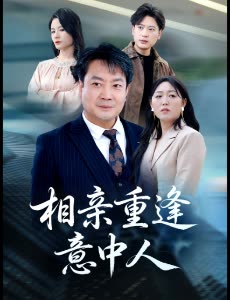 相亲重逢意中人封面