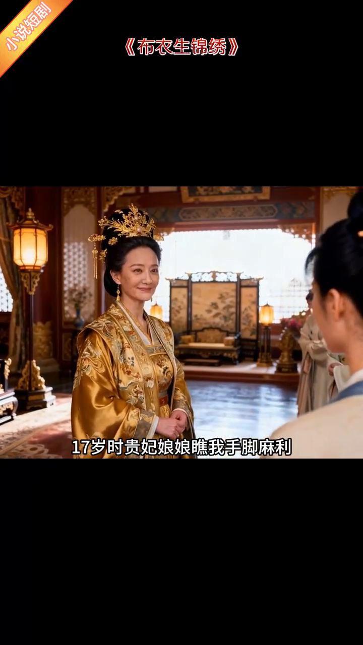 布衣生锦绣封面