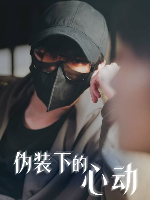 伪装下的心动封面