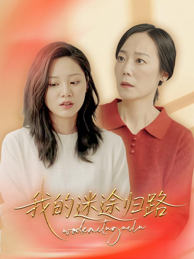 我的迷途归路封面