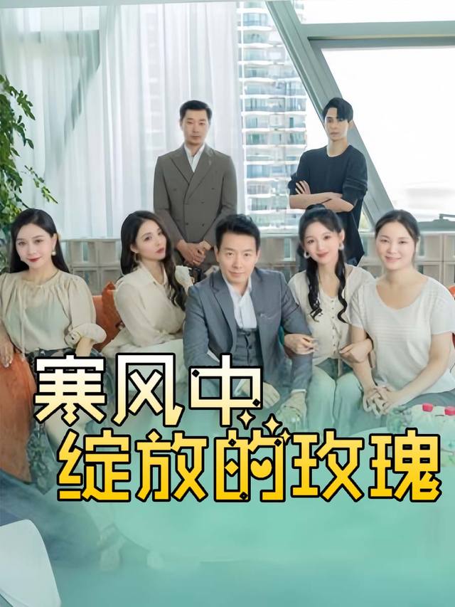 寒风中绽放的玫瑰封面