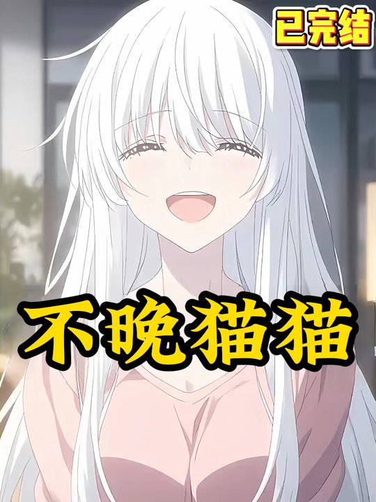 不晚猫猫封面