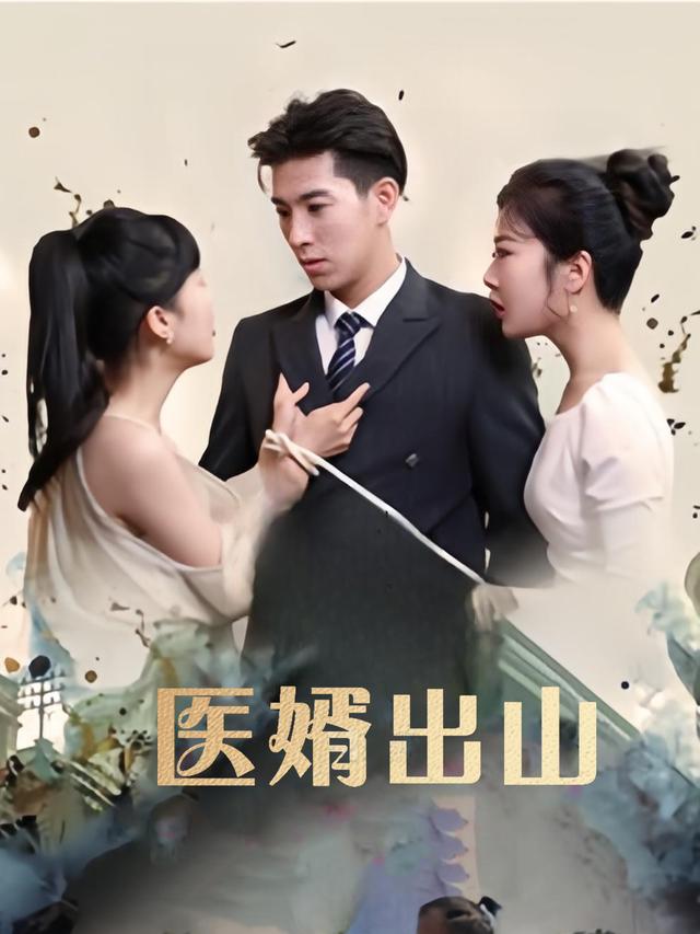 医婿出山封面