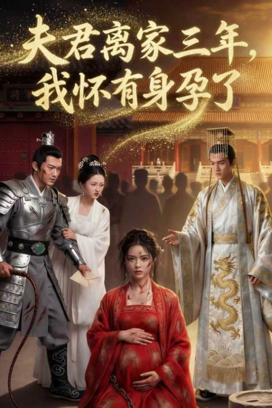 夫君离家三年,我怀有身孕了封面
