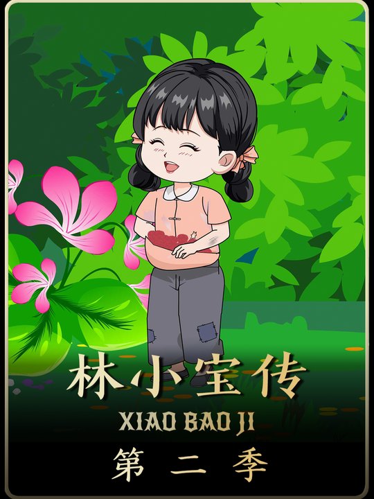 林小宝传第二季封面