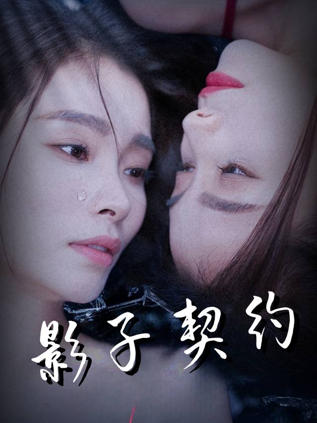 影子契约封面