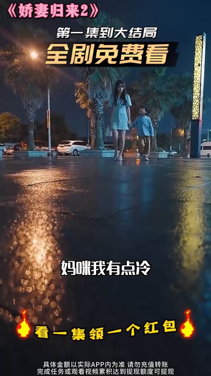 娇妻归来2封面