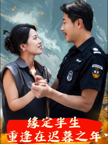 缘定半生重逢在迟暮之年封面