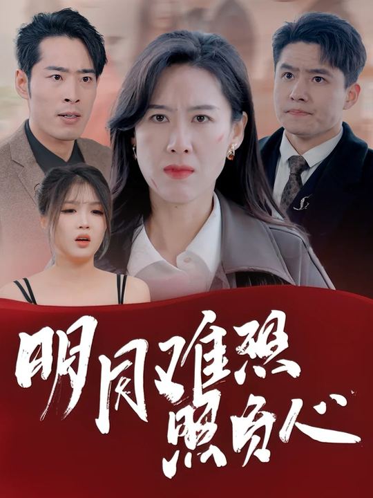 明月难照负人心封面