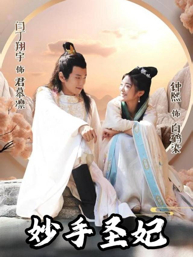 妙手圣妃封面