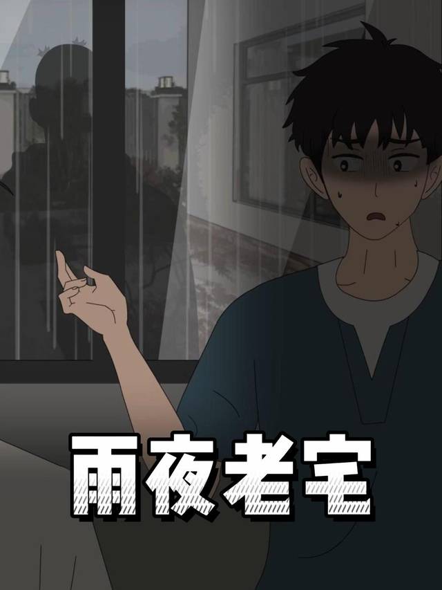 雨夜老宅封面