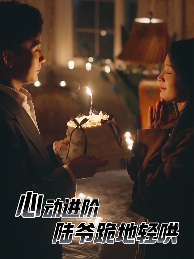 心动进阶陆爷跪地轻哄封面
