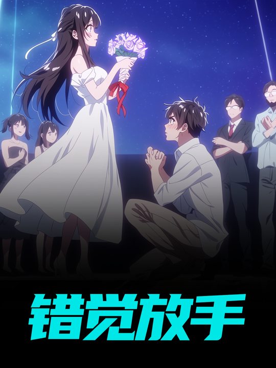 错觉放手封面