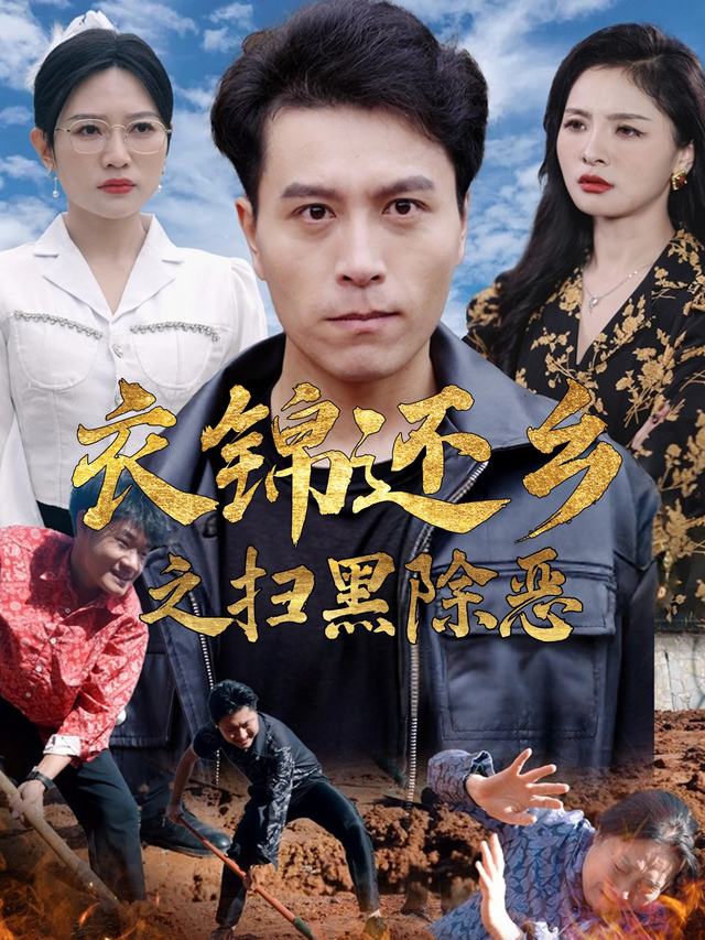 衣锦还乡之扫黑除恶封面