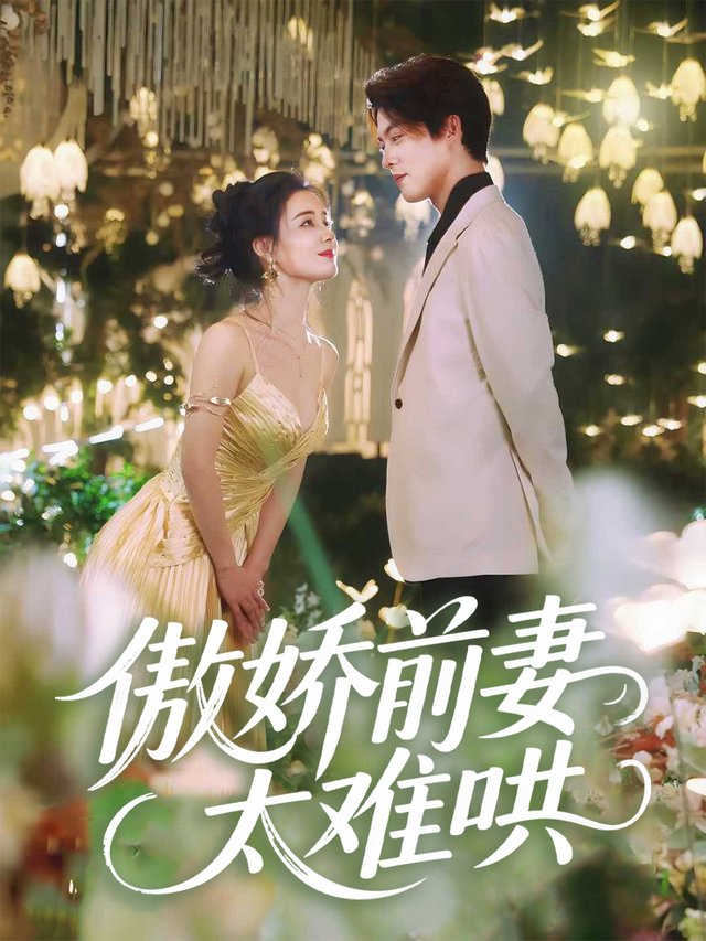 傲娇前妻太难哄封面
