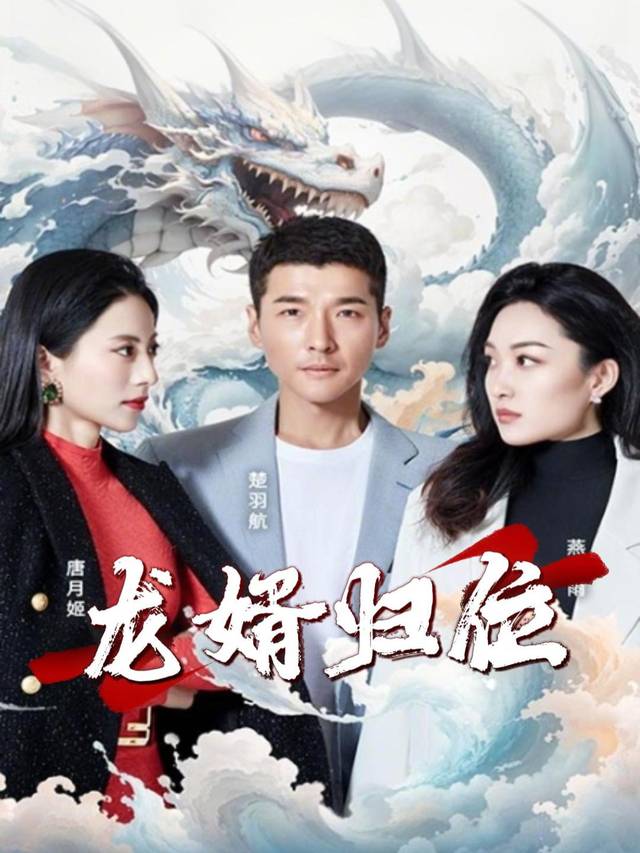 龙婿归位封面