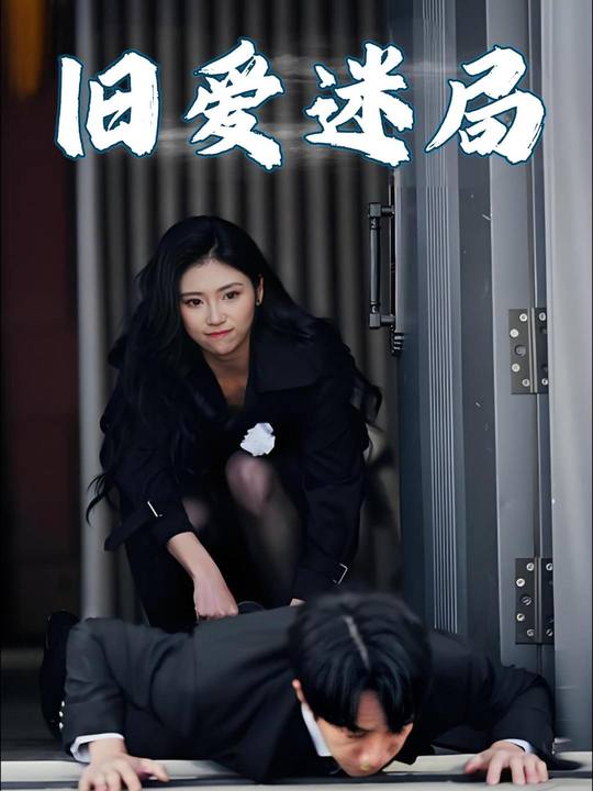 旧爱迷局封面