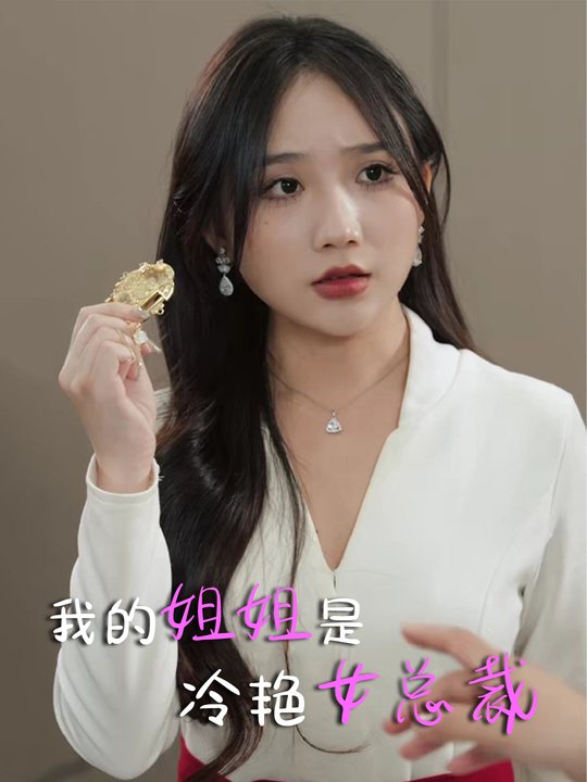我的姐姐是冷艳女总裁封面