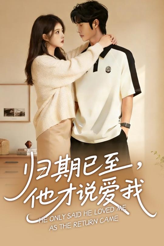 归期已至,他才说爱我封面