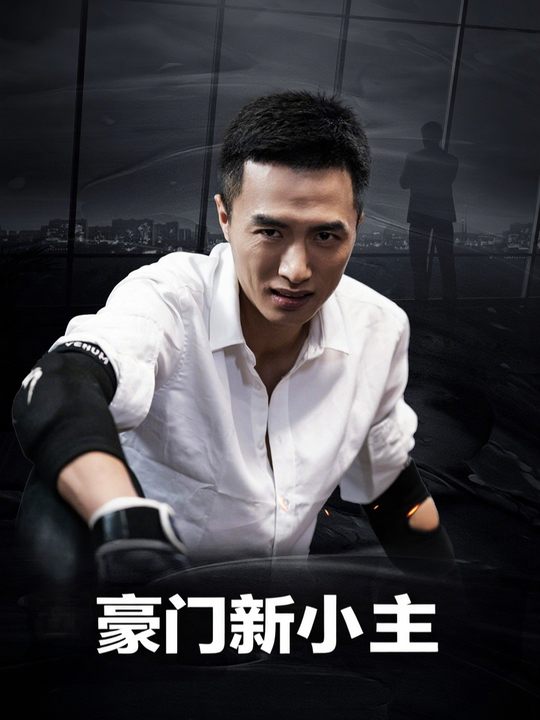 豪门新小主封面