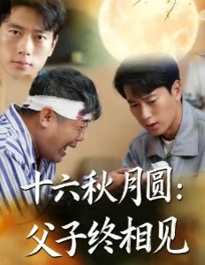 十六秋月圆:父子终相见封面