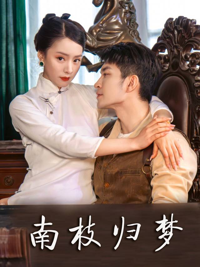 南枝归梦封面