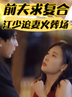 前夫求复合,江少追妻火葬场封面